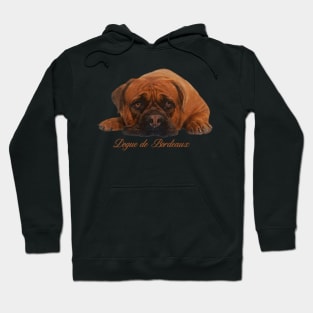 Dogue de Bordeaux Hoodie